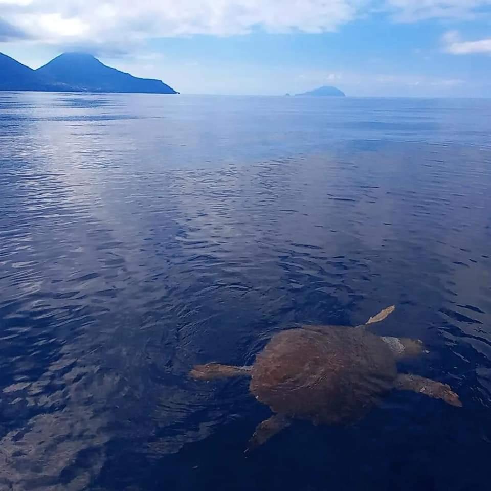 "Appartamento Del Mare Gliaca" Con Vista Isole Eolie,Ampia Terrazza,Wifi E Parcheggio Privato Gratuito Piraino Exteriér fotografie